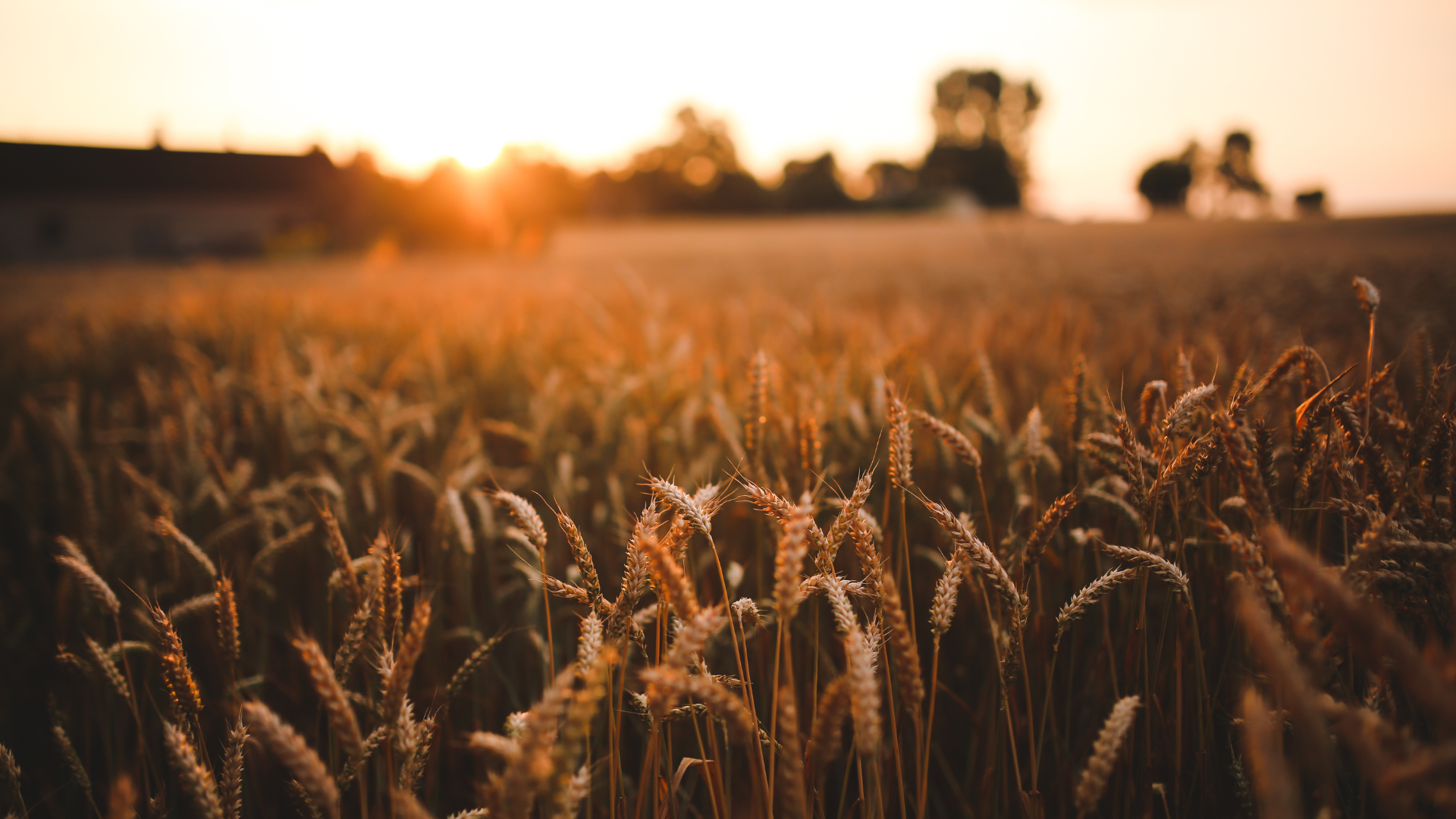 Strategic sale of agriculture manufacturing business in a technology-driven market